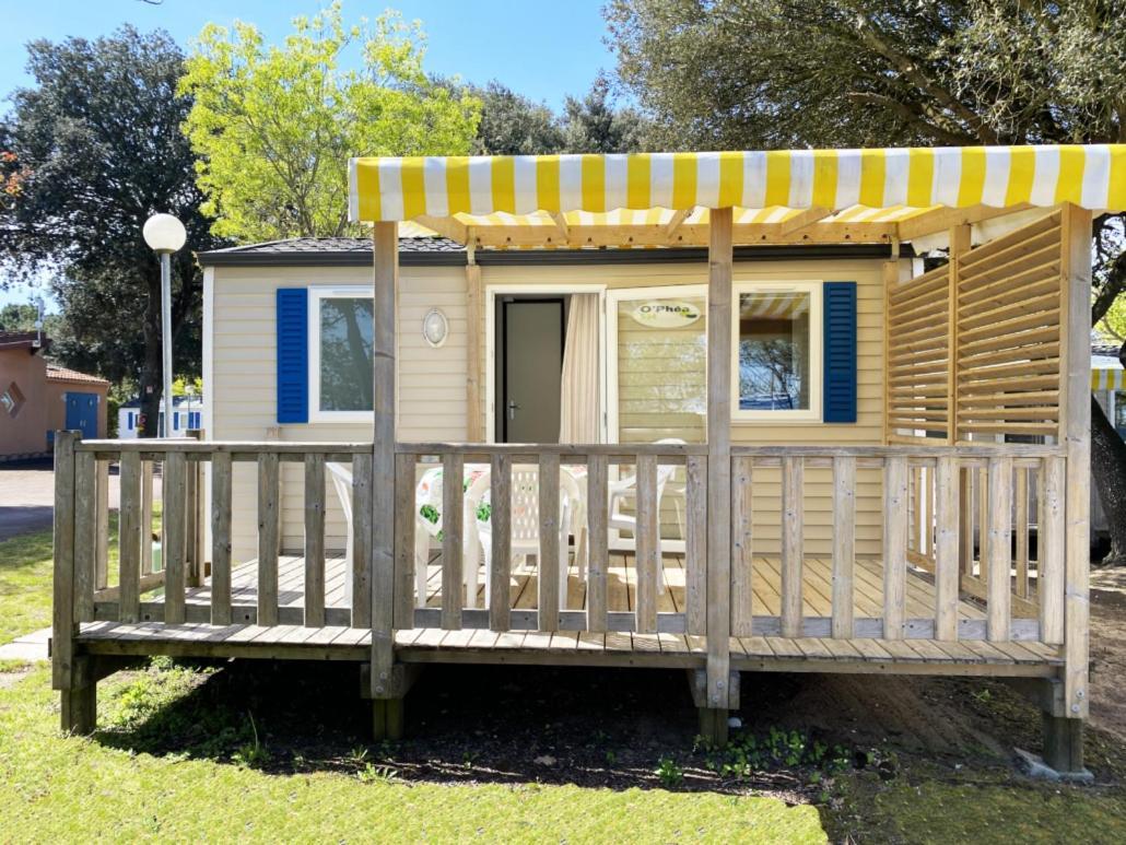 Ostrea **** Camping